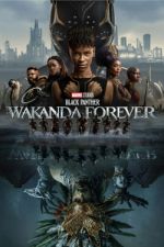 Watch Black Panther: Wakanda Forever 123movies