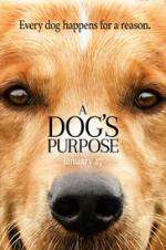 Watch A Dog's Purpose 123movies