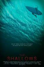 Watch The Shallows 123movies