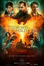 Watch Fantastic Beasts: The Secrets of Dumbledore 123movies