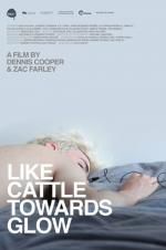 Watch Like Cattle Towards Glow 123movies