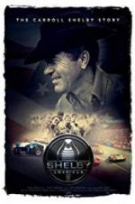 Watch Shelby American 123movies