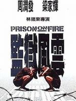 Watch Prison on Fire 123movies