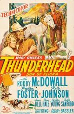 Watch Thunderhead: Son of Flicka 123movies