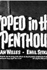 Watch Gypped in the Penthouse 123movies