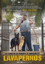 Watch Dogwashers 123movies