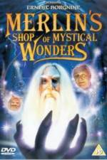Watch Merlin's Shop of Mystical Wonders 123movies