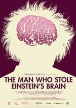 Watch The Man Who Stole Einstein\'s Brain 123movies