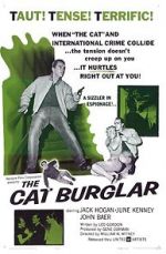 Watch The Cat Burglar 123movies