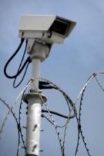 Watch Out Of Jail And On The Streets 123movies