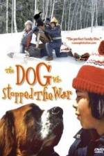 Watch La guerre des tuques 123movies