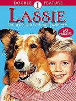 Watch Lassie: A New Beginning 123movies