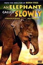 Watch An Elephant Called Slowly 123movies