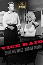Watch Vice Raid 123movies