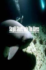 Watch National Geographic Wild Sixgill Shark Into The Abyss 123movies