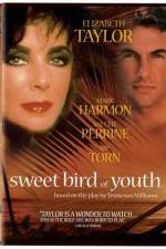 Watch Sweet Bird of Youth 123movies