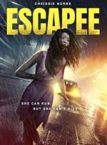 Watch The Escapee 123movies