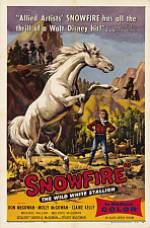 Watch Snowfire 123movies