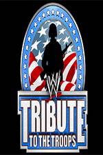 Watch WWE Tribute to the Troops 123movies