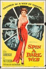 Watch Spin a Dark Web 123movies