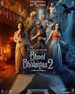 Watch Bhool Bhulaiyaa 2 123movies