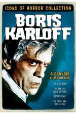 Watch The Boogie Man Will Get You 123movies