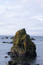 Watch Mad Little Island 123movies