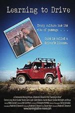 Watch Learning to Drive 123movies