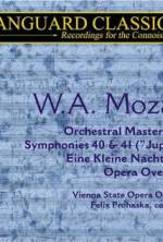 Watch Whiteforce 123movies