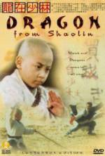 Watch Long zai Shaolin 123movies