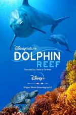 Watch Dolphin Reef 123movies