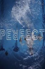 Watch Perfect 123movies
