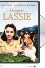 Watch Courage of Lassie 123movies