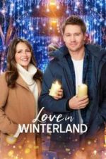 Watch Love in Winterland 123movies