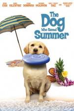 Watch The Dog Who Saved Summer 123movies