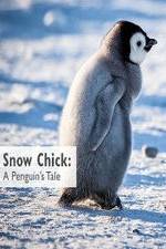 Watch Snow Chick: A Penguin's Tale 123movies