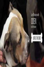 Watch Last Minutes with ODEN 123movies