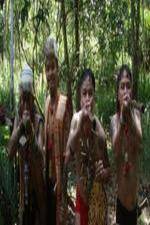 Watch National Geographic Headhunters Of WWII 123movies