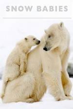 Watch Snow Babies 123movies