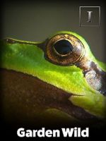 Watch Garden Wild! 123movies