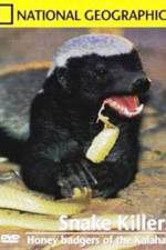 Watch National Geographic: Snake Killers Honey Badgers Of The Kalahari 123movies