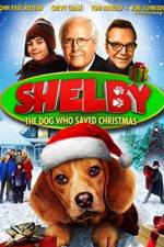 Watch Shelby 123movies