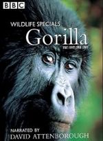 Watch Gorilla Revisited with David Attenborough 123movies