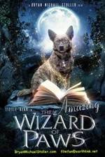 Watch The Amazing Wizard of Paws 123movies