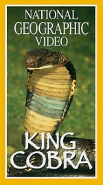 Watch King Cobra 123movies