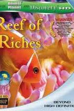 Watch Equator Reefs of Riches 123movies