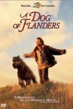 Watch A Dog of Flanders 123movies