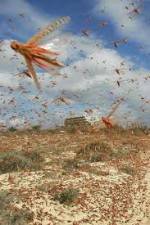 Watch Swarm Chasers: Locusts 123movies