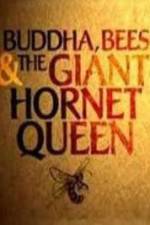 Watch Natural World Buddha Bees and the Giant Hornet Queen 123movies