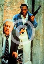 Watch Case Closed 123movies